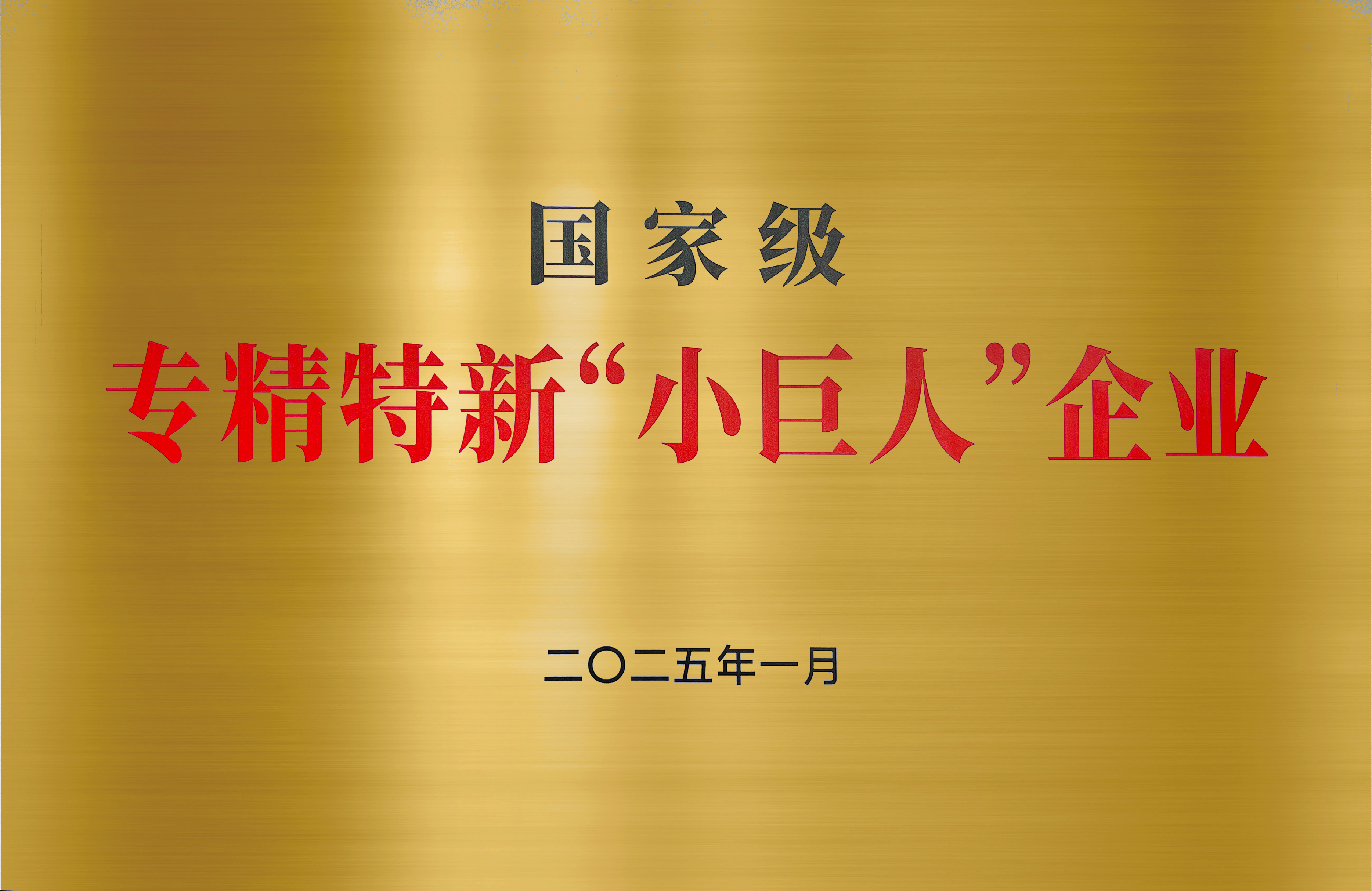 国家级小巨人企业